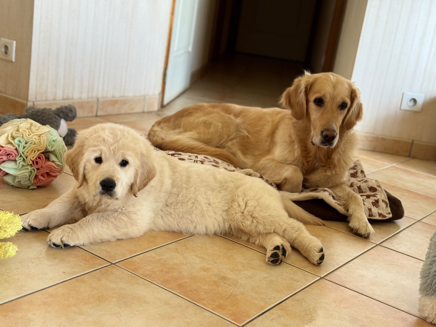 Les départs sont déjà là 