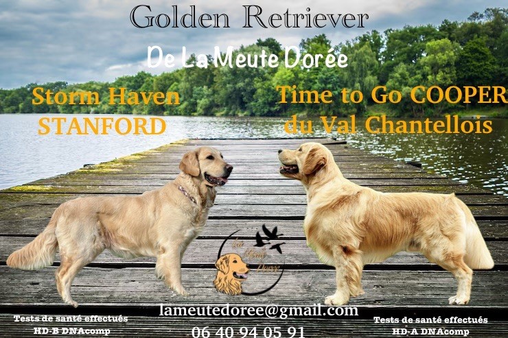 Naissance prévue pour Décembre 