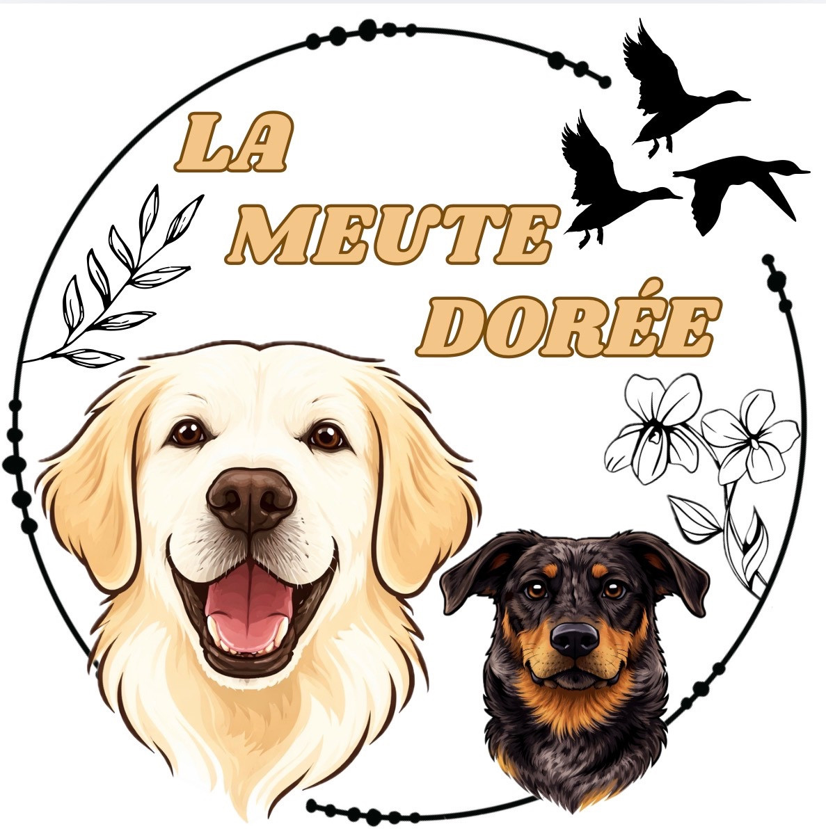 De La Meute Dorée